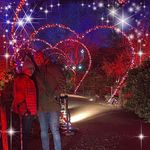 Profile Picture of Julie Glover (@julieglover1207) on Instagram
