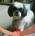 Profile Picture of Raymond Cramer (@raymond.cramer.585) on Facebook