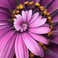 Profile Picture of Vickie Mitchell (@vickie.mitchell.9) on Facebook