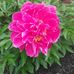 Profile Picture of Margaret Swift (@margaret.swift.311) on Facebook