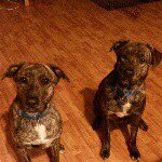 Profile Picture of Ernest Gonzalez (@egonzalez1977) on Instagram