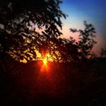 Profile Picture of Bobby Crawford (@supernova42us) on Instagram