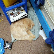 Profile Picture of Hunter Walters (@hunterwalters329) on Youtube