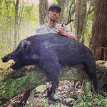 Profile Picture of Alfred.Cordero🐗 (@_alfred.cordero_) on Instagram