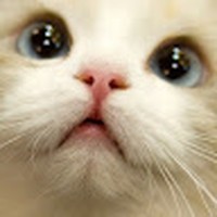 Profile Picture of Michelle Dufault (@michelle-dufault-7) on Quora