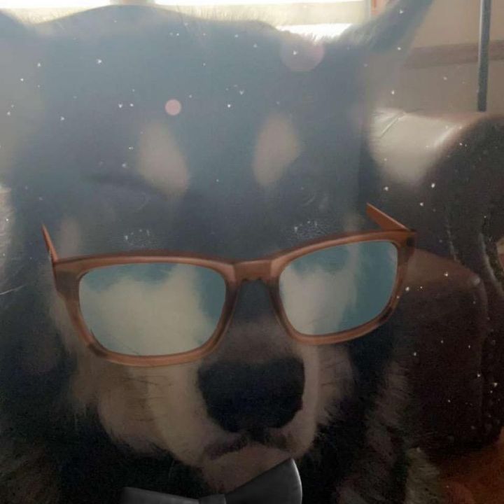 Profile Picture of Cole Pace (@colepace) on Tiktok