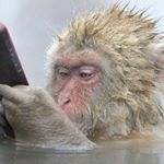 Wilfredo Marcano - Instagram Profile Picture of Wilfredo Marcano (@wilfredomarcano7895) on Instagram