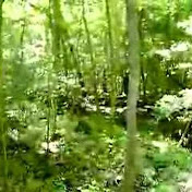 Profile Picture of Gary Crider (@garycrider) on Youtube