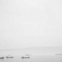 Profile Picture of phillipsotha113 (@phillipsotha113) on Tiktok