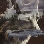 Profile Picture of Dorothy Shoemaker (@dorothy.shoemaker.2025) on Facebook