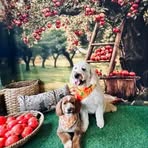 Profile Picture of Scott Hause (@scott.hause.315) on Facebook