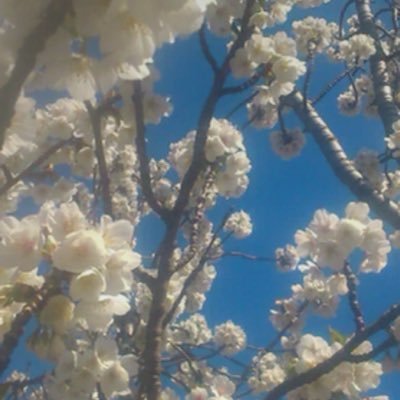 Profile Picture of Brian Forsyth (@mondokane) on Twitter