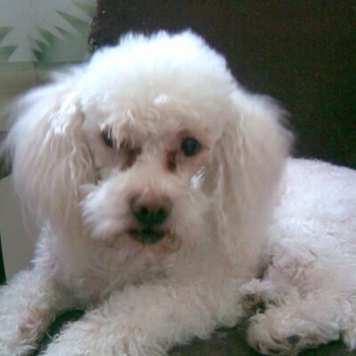 Profile Picture of Araceli Colin Muñoz (@@chely582) on Twitter