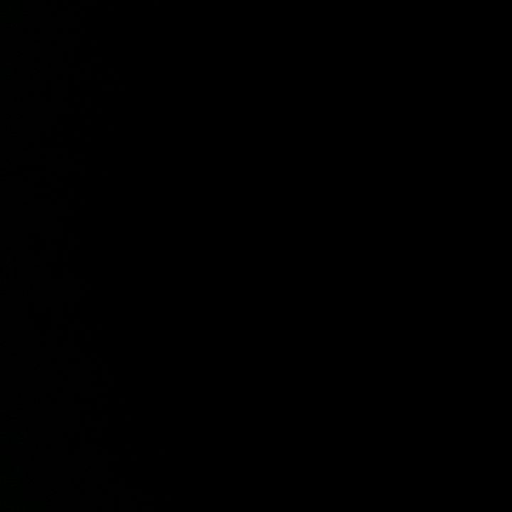 Profile Picture of caseymonahann (@caseymonahann) on Tiktok