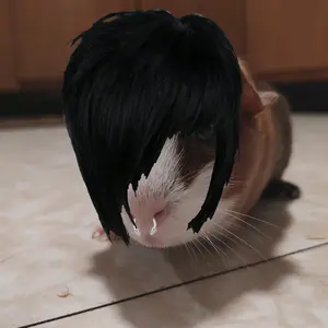 Profile Picture of cailyn (@cailyn.haslett) on Tiktok