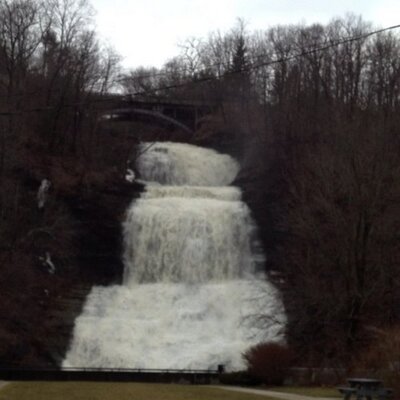 Profile Picture of Betsy Cleveland (@BetsyACleveland) on Twitter