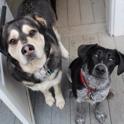 Profile Picture of Matt McAllister (@mattjmc20) on Twitter