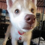 Profile Picture of Michael Hollomon (@cathkold) on Instagram