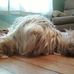 Profile Picture of Buddy Halbert (@buddy.halbert) on Facebook