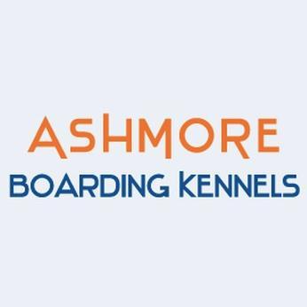 Profile Picture of Ashmore Boarding Ken (@Ashmore_Boardin) on Twitter