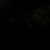 Profile Picture of خوسيه يكلف (@josephprod) on Tiktok