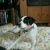 Profile Picture of Lee Stultz (@leestultz58) on Pinterest