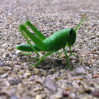 Profile Picture of Jacob Sawyers (@Jacob_Sawyers) on Twitter