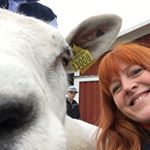 Profile Picture of Paula Bäckman (@paulabackman3) on Instagram
