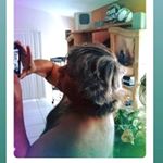 Profile Picture of Michael A Celano (@michael.celano) on Instagram