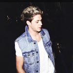 Profile Picture of jessica (@dogfilterniall) on Instagram