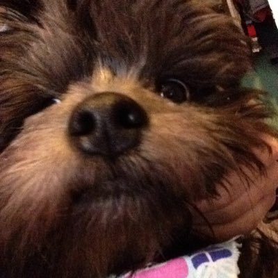 Profile Picture of Colin Adkins (@colinadkins1327) on Twitter