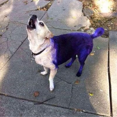 Profile Picture of Max Spencer (@Maxspencer2121) on Twitter