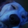 Profile Picture of Ashly Loftus (@ashlyloftus1) on Tiktok