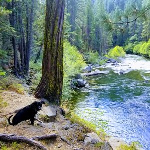 Profile Picture of Brad Mello (@brad_mello) on Twitter