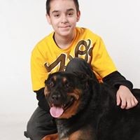 Profile Picture of Shawna Herrera (@shawna-herrera-1) on Quora