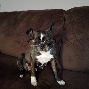 Profile Picture of Darin Hoover (@DarinHoover) on Twitter