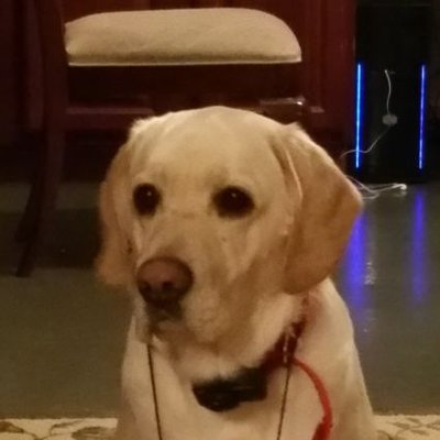 Profile Picture of Bob Schneider (@NJPE2001) on Twitter