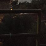 Profile Picture of Brian.nilson (@brian.nilson) on Instagram