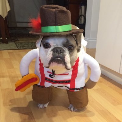 Profile Picture of Philip Perri (@PhilipPerri2) on Twitter