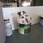 Profile Picture of Philippe Lenoir (@philippe.lenoir.35) on Instagram