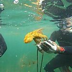 Profile Picture of Chris Latos (@chris_la26) on Instagram