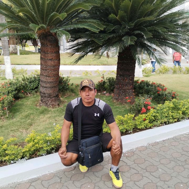 Profile Picture of Edwin walter (@edwinwalterfarfan) on Tiktok