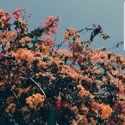 İlayda Gömeç - Twitter Profile Picture of İlayda Gömeç (@IlaydaGomec) on Twitter