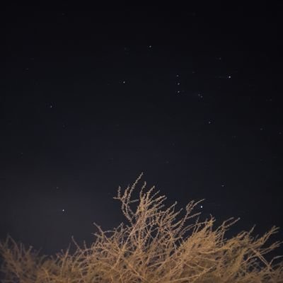 Profile Picture of Bashar Al-shezawi (@Basharahmed3) on Twitter