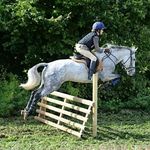 Profile Picture of Keely Howard (@i_love_my_pony_11) on Instagram