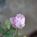 Profile Picture of Michele Backeberg (@michelebackeberg) on Instagram