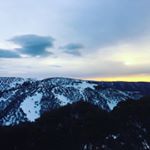 Max Mckenzie - Instagram Profile Picture of Max Mckenzie (@max_mck711) on Instagram