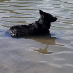 Profile Picture of Sherri Reder (@sherri.reder) on Facebook