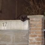 Profile Picture of Umberto Nogarotto (@umberto.nogarotto) on Facebook