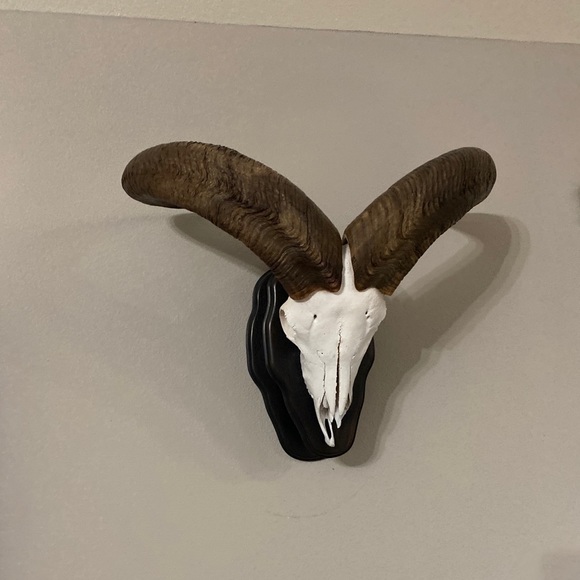 Profile Picture of Mark Hochevar (@mhoch1988470) on Poshmark